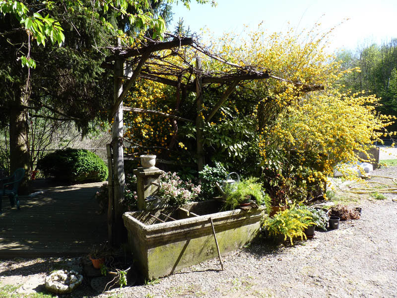 Domaine De La Safraniere - Chambre D'Hote Saint-Léger Zewnętrze zdjęcie