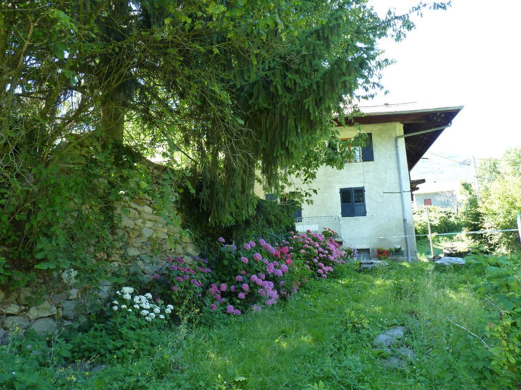 Domaine De La Safraniere - Chambre D'Hote Saint-Léger Zewnętrze zdjęcie