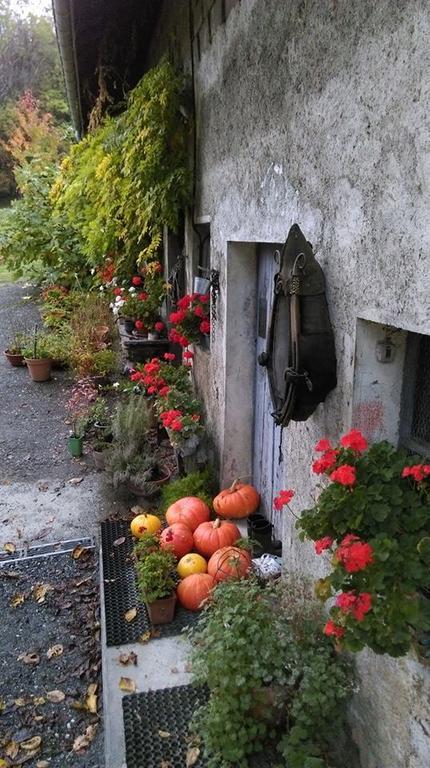 Domaine De La Safraniere - Chambre D'Hote Saint-Léger Zewnętrze zdjęcie