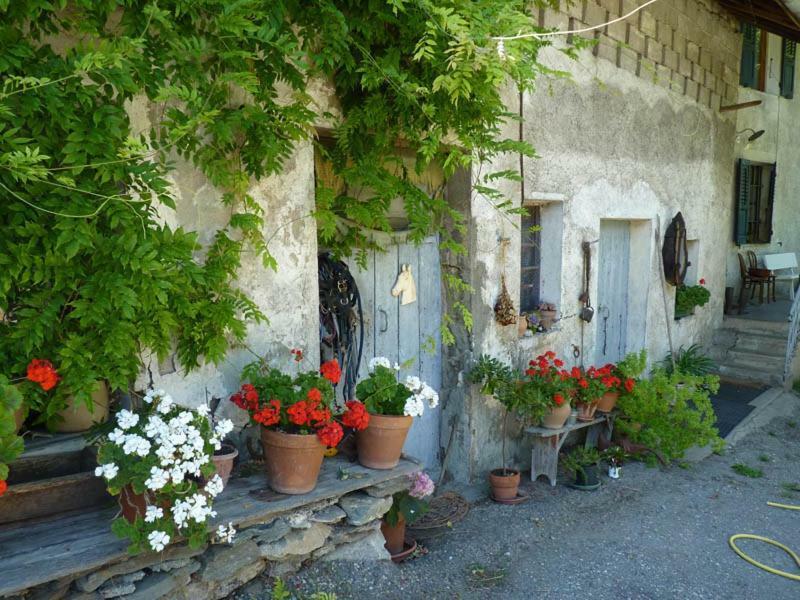 Domaine De La Safraniere - Chambre D'Hote Saint-Léger Zewnętrze zdjęcie